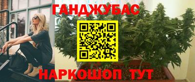 мяу мяу мука Моздок