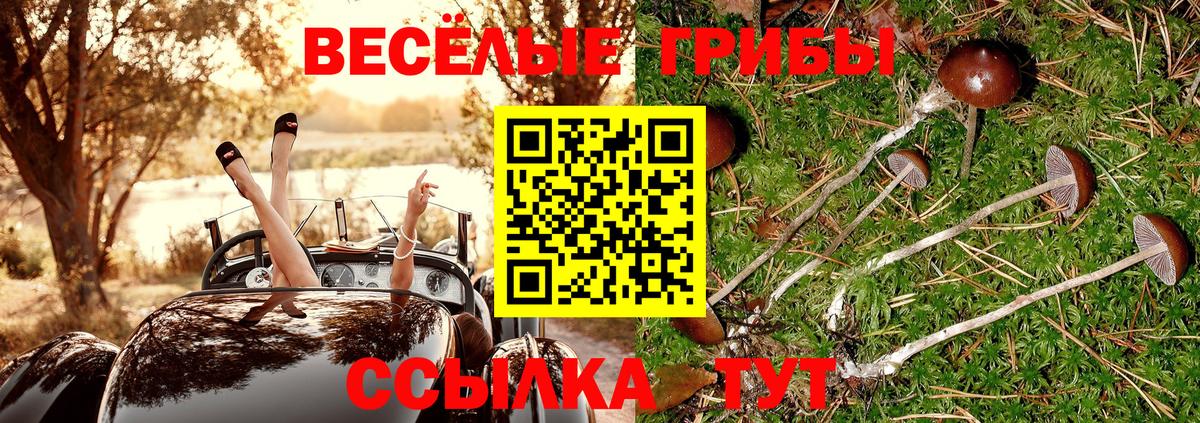Аксай  Галлюциногенные грибы Psilocybe  Вход с VPN 